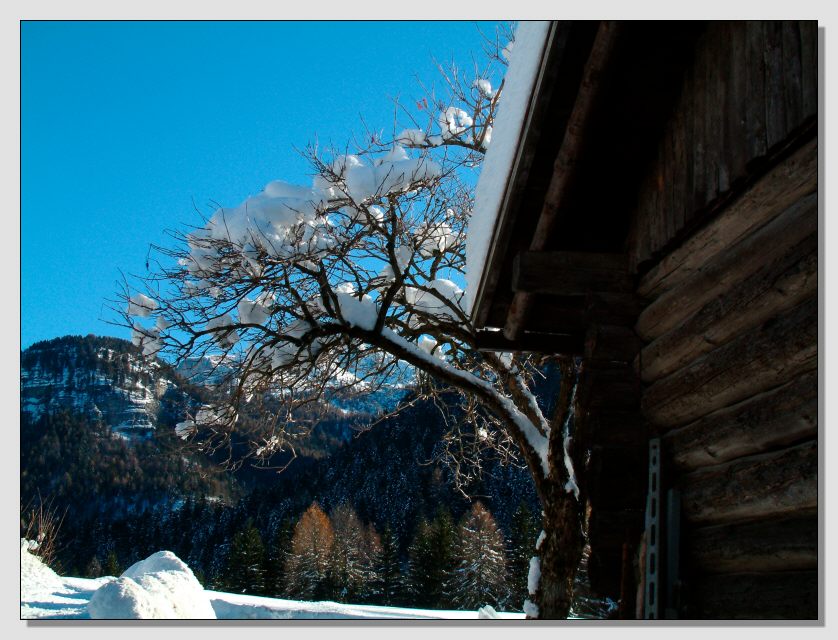 Il mio inverno